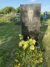 Шелехов Петр Иванович